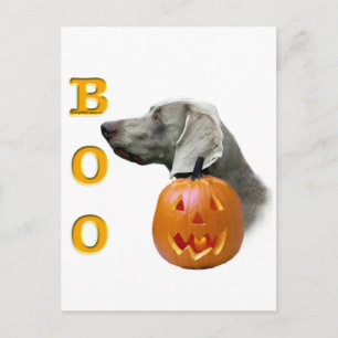 Carte Postale Weimaraner Boo