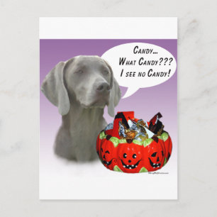 Carte Postale Weimaraner Halloween Candy