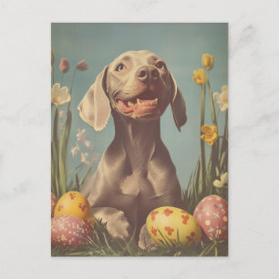 Carte Postale Weimaraner Pâques Vintages