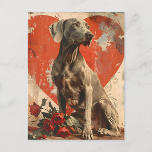 Carte Postale Weimaraner Vintage Saint-Valentin