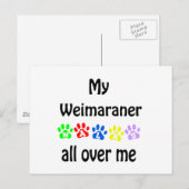 Carte Postale Weimaraner Walks Design (Devant / Derrière)