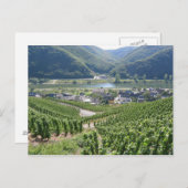 Carte Postale Weinberge (Devant / Derrière)