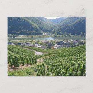 Carte Postale Weinberge