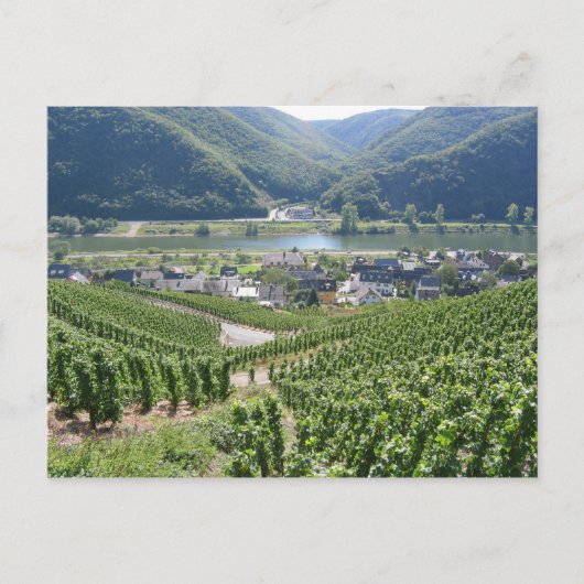 Carte Postale Weinberge (Devant)