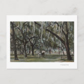 Carte Postale Welaka, FL - Vue sur Welaka Park & Mossy Trees (Devant)