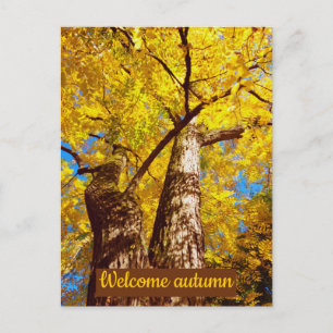 Carte Postale welcomum