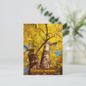 Carte Postale welcomum (Debout devant)