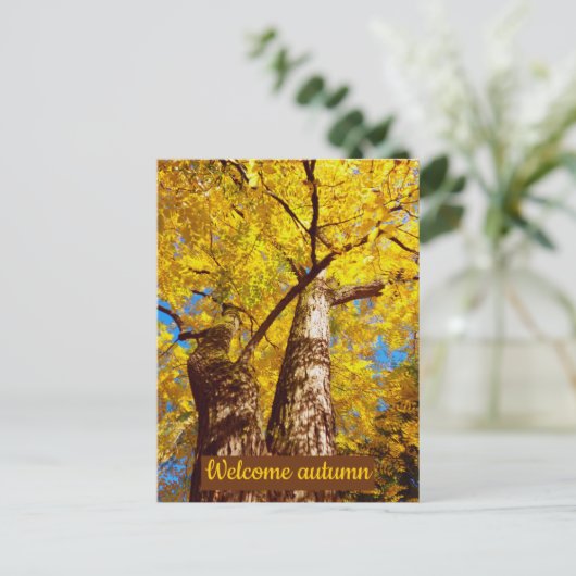 Carte Postale welcomum (Debout devant)