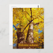 Carte Postale welcomum (Devant / Derrière)