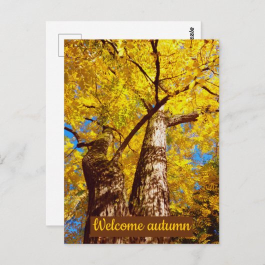 Carte Postale welcomum (Devant / Derrière)