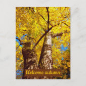 Carte Postale welcomum (Devant)