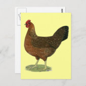 Carte Postale Welété Hen (Devant / Derrière)