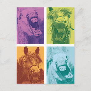 Carte Postale Wellcoda Funny Animal Lauder Crazy Horse