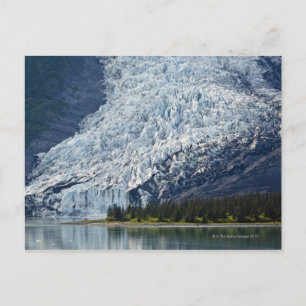 Carte Postale Wellesley Glacier in College Fjord