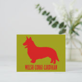 Carte Postale Welsh Corgi Cardigan (Debout devant)
