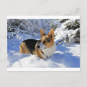 Carte Postale Welsh Corgi Jour des neiges