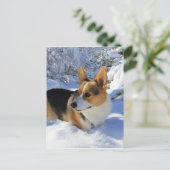 Carte Postale Welsh Corgi Jour des neiges (Debout devant)