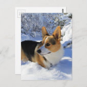Carte Postale Welsh Corgi Jour des neiges (Devant / Derrière)