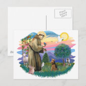 Carte Postale Welsh Terrier (Devant / Derrière)