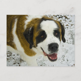 Carte Postale WemissTANK