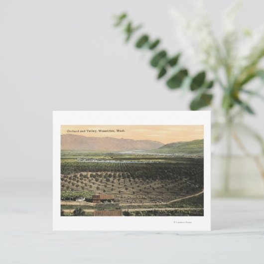 Carte Postale Wenatchee, WashingtonVue aérienne d'un verger (Debout devant)