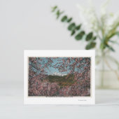 Carte Postale Wenatchee, WAView du mont Cashmere avec des arbres (Debout devant)