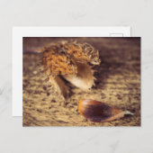 Carte Postale Wenn ein Samen zum Baum avec ... (Devant / Derrière)