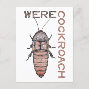 Carte postale Werecockroach