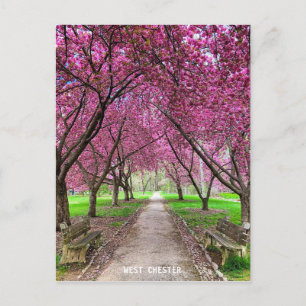 Carte postale West Chester Everhart Park