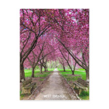 Carte postale West Chester Everhart Park