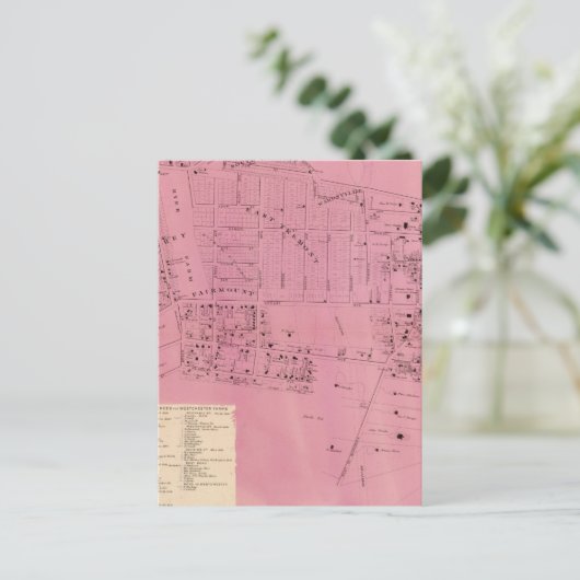 Carte Postale West Farms (Debout devant)