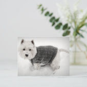 Carte Postale West Highland Terrier en sueur dans la neige (Debout devant)