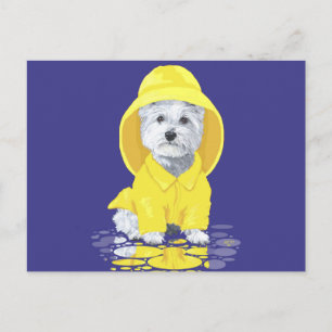 Carte Postale West Highland White Terrier Avril Douches
