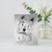 Carte Postale West Highland White Terrier Postcard (Debout devant)