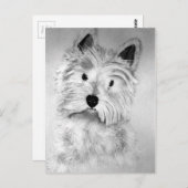 Carte Postale West Highland White Terrier Postcard (Devant / Derrière)