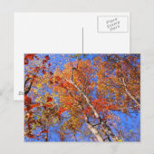 Carte Postale West Mt. Autumn Hot Springs National Park Cadfts (Devant / Derrière)