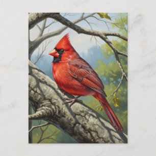 Carte Postale West Virginia State Bird Northern Cardinal