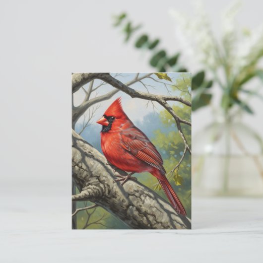 Carte Postale West Virginia State Bird Northern Cardinal (Debout devant)