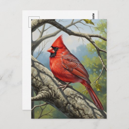 Carte Postale West Virginia State Bird Northern Cardinal (Devant / Derrière)