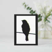 Carte postale Western Bluebird silhouette (Debout devant)