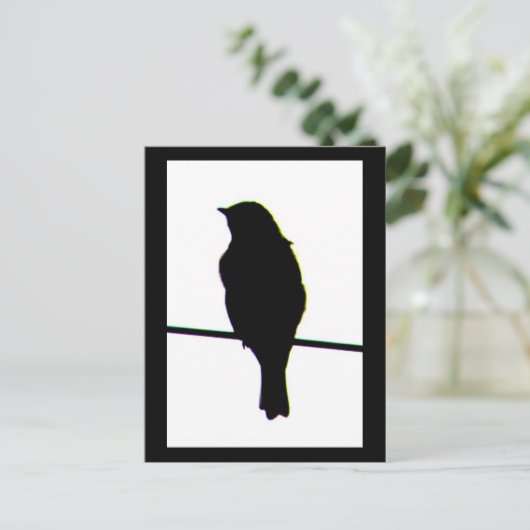 Carte postale Western Bluebird silhouette (Debout devant)