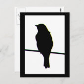 Carte postale Western Bluebird silhouette (Devant / Derrière)