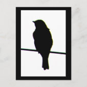 Carte postale Western Bluebird silhouette (Devant)