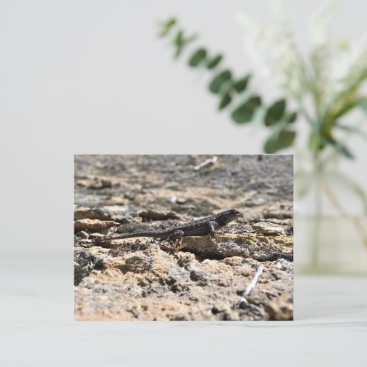 Carte Postale Western Fence Lizard (Debout devant)