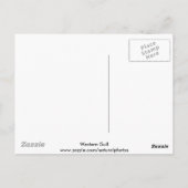 Carte Postale Western Gull Postcard (Dos)