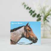 Carte postale Western Quarter Horse (Debout devant)