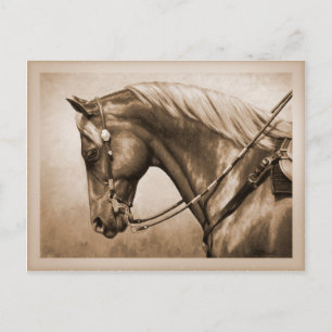 Carte Postale Western Ranch Horse Vieux Photo Sepia