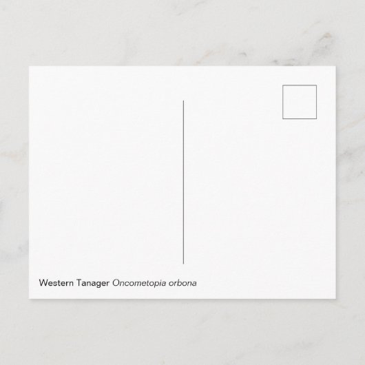 Carte postale Western Tanager (Dos)