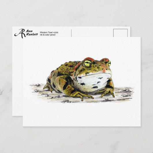 Carte postale Western Toad (Devant / Derrière)