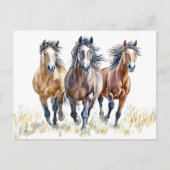 Carte postale Western Wild & Free Mustang Hors (Devant)